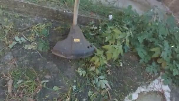 Κηπουρός κουρεύει φρέσκο γρασίδι χρησιμοποιώντας θαμνοκοπτικό — Αρχείο Βίντεο