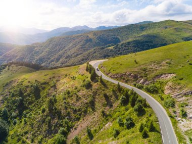 Dağ yolunda bir kamyonu ve iki arabayı takip eden hava manzaralı güzel bir orman.