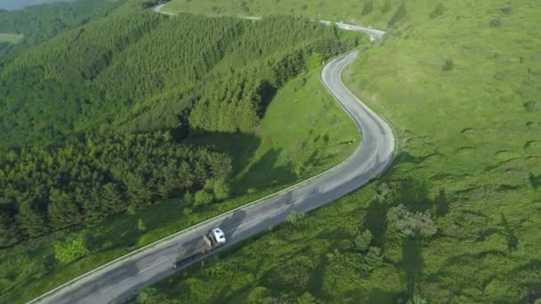 Boş odun nakliye kamyonu kıvrımlı orman dağ yolunda sondaj yapıyor. — Stok video