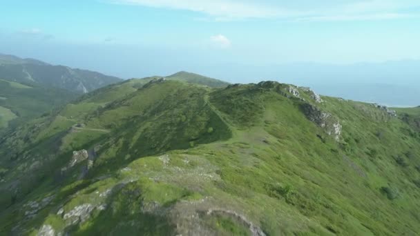 Panoramiczny widok drona na wypas zwierząt na zielonych wzgórzach — Wideo stockowe