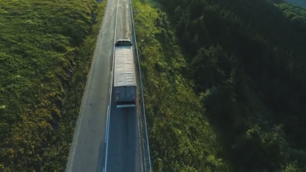 Camião Semi dirigindo nas montanhas. Camião de carga carregado que viaja através de montanhas florestadas — Vídeo de Stock