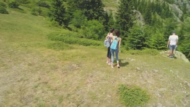 Szczęśliwi młodzi turyści cieszący się widokiem na szczyt góry z malowniczym widokiem na zieloną dolinę poniżej — Wideo stockowe