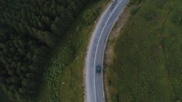 在森林山路上驾驶的黑色轿车 — 图库视频影像