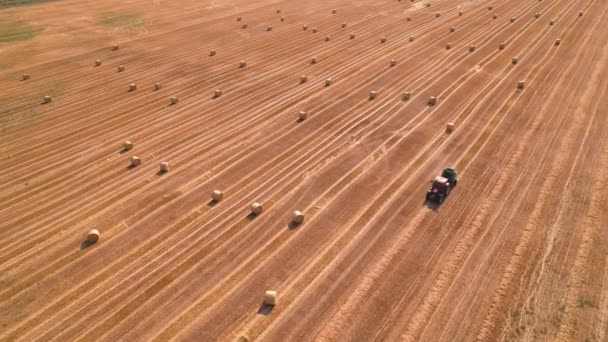 Luchtfoto van de balenpers verzamelen stro in het veld en maken grote balen. Landbouwkwaliteit — Stockvideo