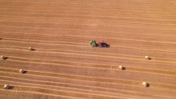 Jordbrukskonceptmaskin samlar halm ute på fältet och gör stora balar. — Stockvideo