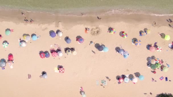 Top shot de playa de verano lleno de gente con sombrillas de colores — Vídeo de stock