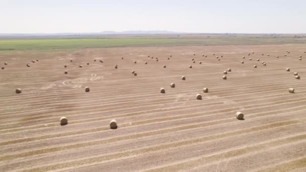 Vista aérea de fardos de heno en un campo después de la cosecha — Vídeos de Stock