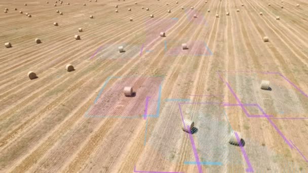 Scanner futurista sobre o campo da agricultura — Vídeo de Stock