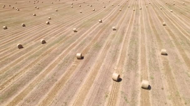 Αεροφωτογραφία αχυρένιων αγρών με δεμάτια στην αγροτική περιοχή — Αρχείο Βίντεο