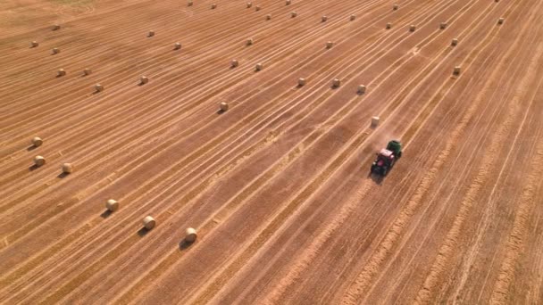 Drone weergave van de machine maken grote balen — Stockvideo