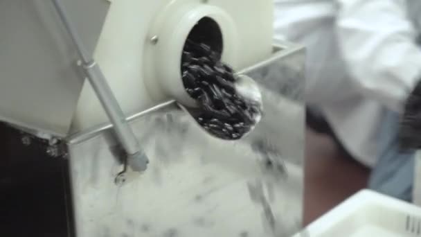 Manufacturing cbd capsules dry macnhine — Stock Video