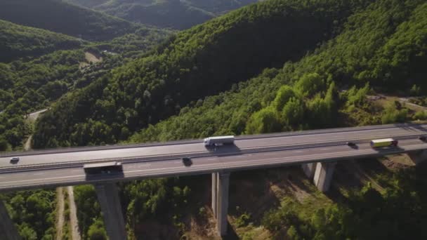 Aerial view of white cargo semi truck driving on two way motorway viaduct over green hills — Stock Video