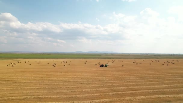 Traktor göra stora balar i solig dag — Stockvideo