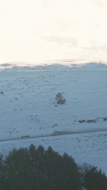 Uzak Karlı yamaçlar, kıvrımlı yollar, orman sınırında kesme, soluk gökyüzü ve yumuşak ışık, sessiz hava manzarası,