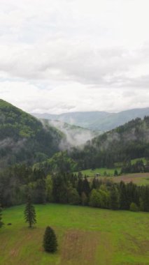 Yoğun bir bahar ormanının sisle kaplı havadan bakış açısı. Sis kaplı ağaçlar ve canlı yeşillikler doğanın sükunetini yukarıdan yakalayarak huzurlu ve manzaralı bir bahar manzarası yaratıyor..
