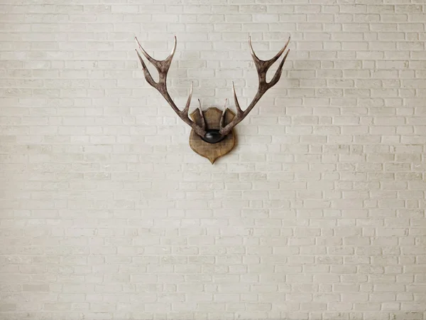 Corno su muro di mattoni bianchi, rendering 3d — Foto Stock