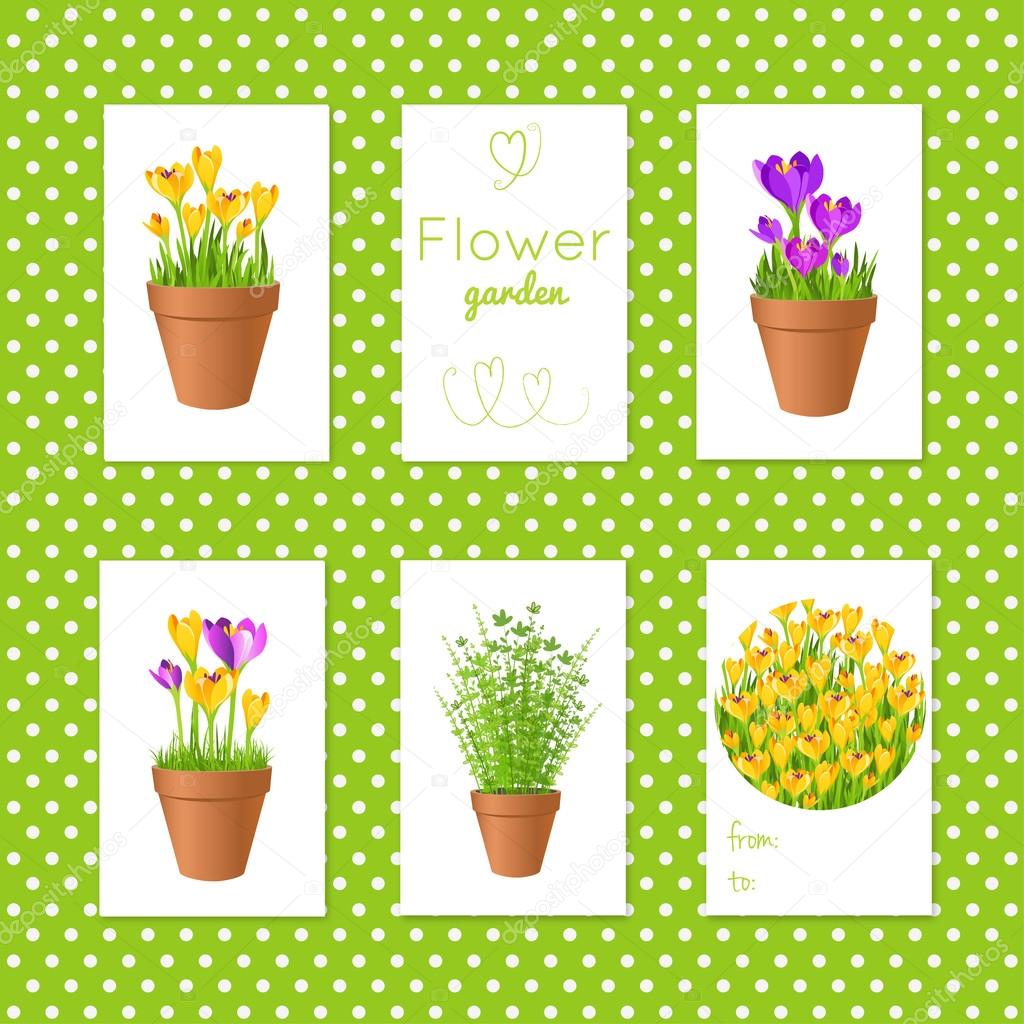 Set of vector tgs with garden flowers in pots.Gift tags and card