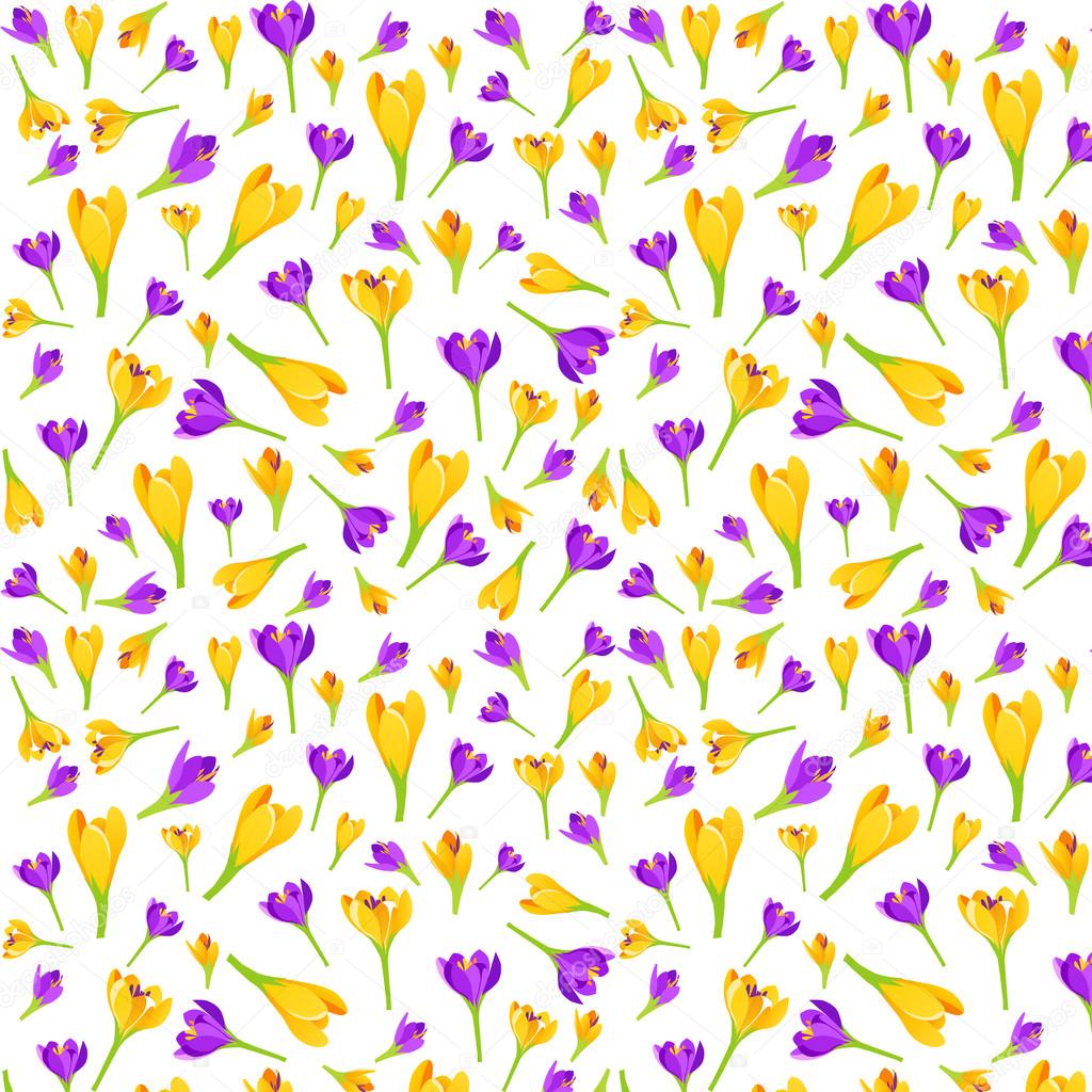 Vector floral pattern with crocus flowers. Garden, spring floral