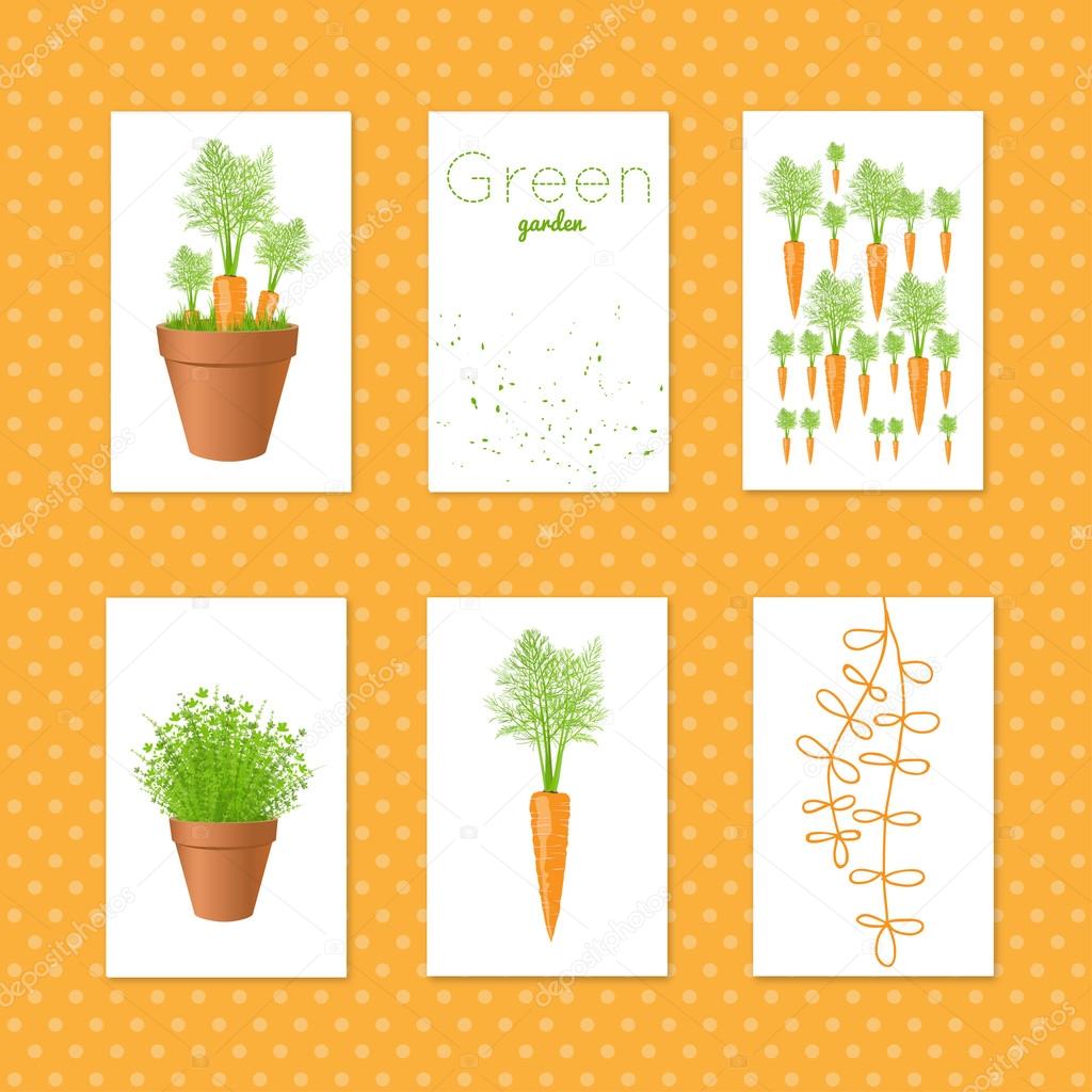 Set of vector tags with carrots.Gift tags and cards with fresh g