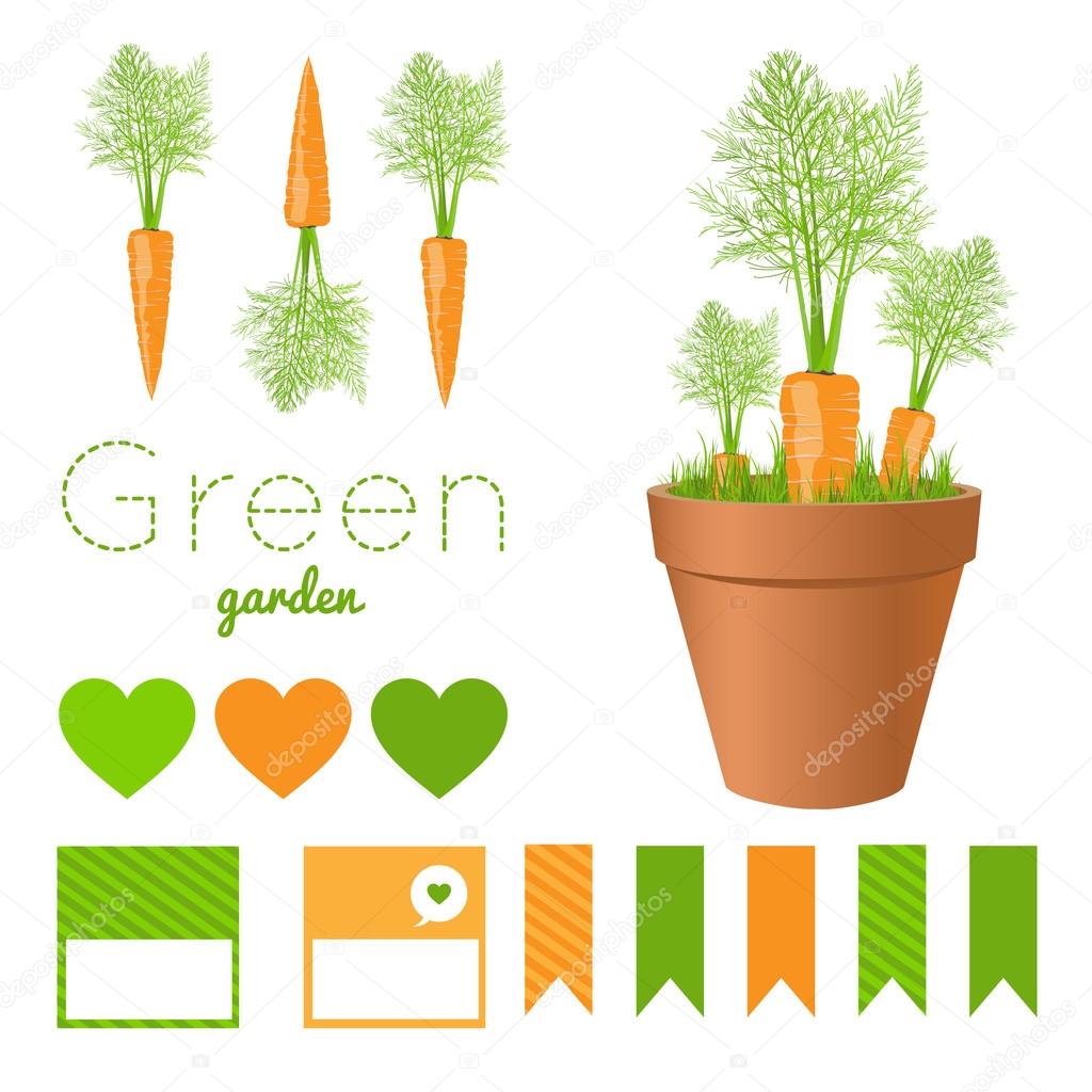 Set of garden pots with fresh carrots and greens.Carrot and green grass in pots,printable files. Vector illustration for garden party decor.Vector printable boxes,half boxes