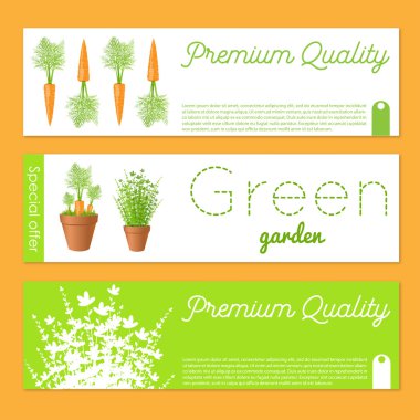 Vektör afiş havuç ile ayarlayın. Hediye afiş kum kartları taze yeşillik ve havuç ile. Hisse senedi vektör çizim. Bahçe Satılık