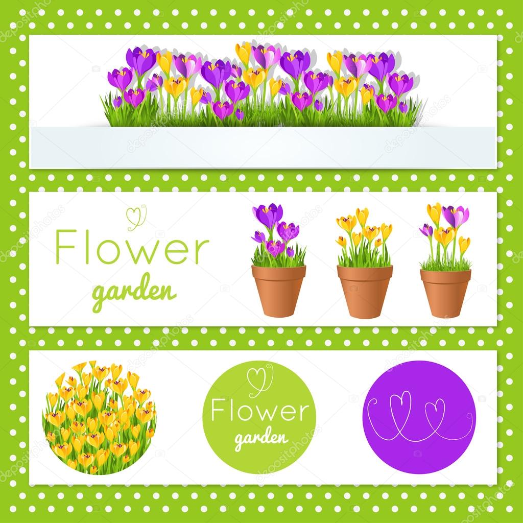 Set of vector banners with garden flowers in pots.For flower shop. Stock vector illustration.