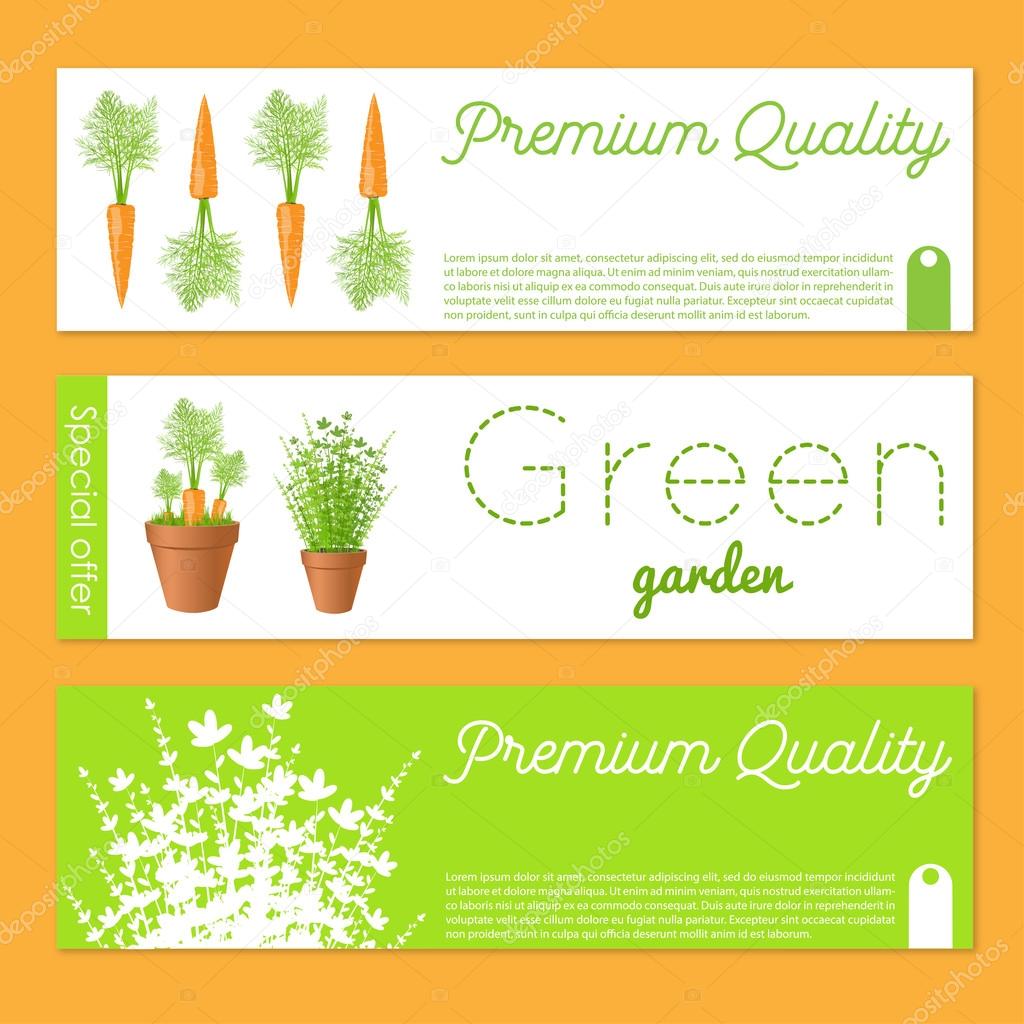 Set of vector banners with carrots.Gift banner sand cards with fresh greens and carrot. Stock vector illustration.For garden market