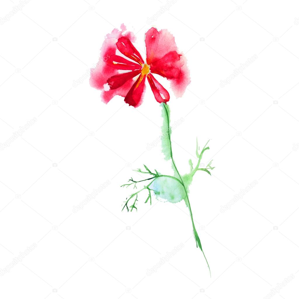 Watercolor vector flower for holiday doodles