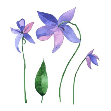 Renkli çiçek vektör davetiye, düğün veya tebrik kartları için ayarla