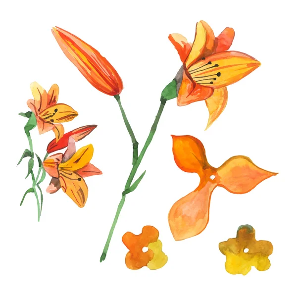 Bunte florale Vektorkollektion mit gelben Blumen — Stockvektor