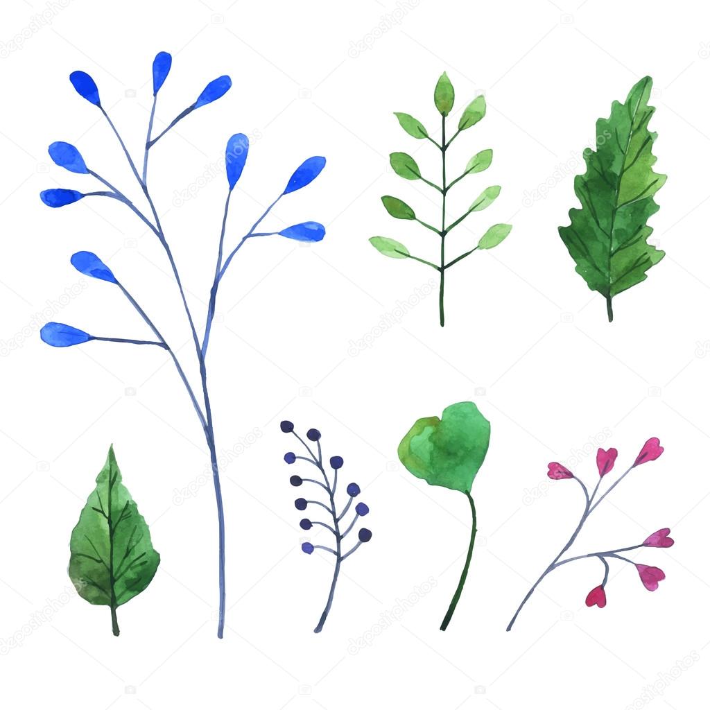 Watercolor vector set with blue flowers and herbs