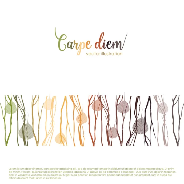 Carpe diem. Latince aforizma 