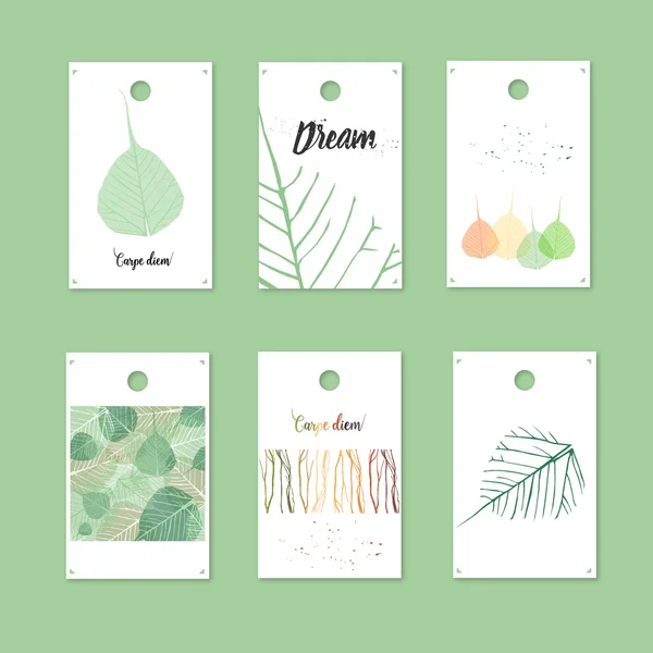 Etiquetas de regalo de estilo orgánico y tarjetas con hojas. Stock vector illu — Vector de stock