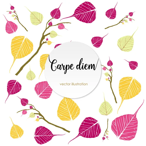 Latin aphorism "Seize the day". Vector organic style card — Stock Vector