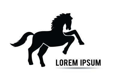 tasarım düzeni şablonu
