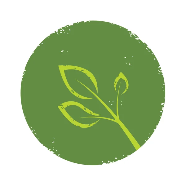 Grunge green leaves logo — Stock Vector