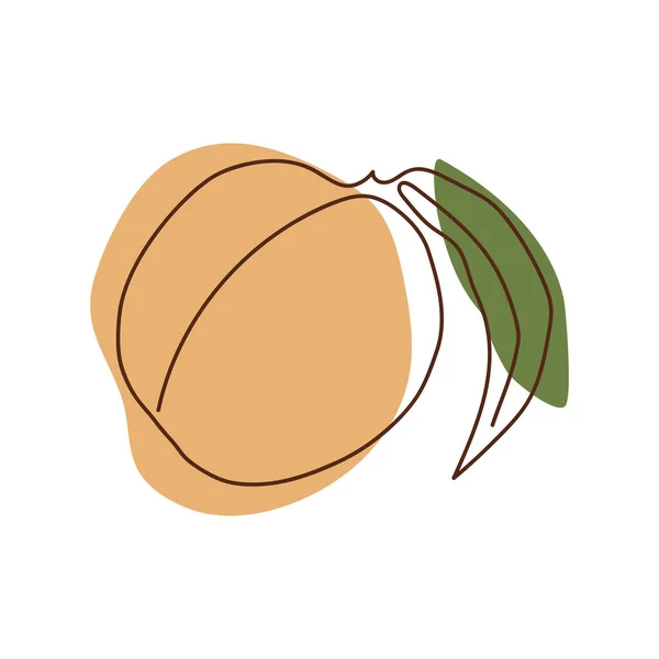 Ein Pfirsich Mit Einem Blatt Einer Durchgehenden Linie Vor Einem — Stockvektor