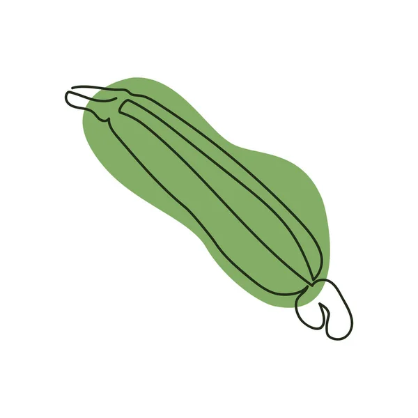Eine Zucchini Einer Durchgehenden Linie Vor Dem Hintergrund Eines Hellgrünen — Stockvektor