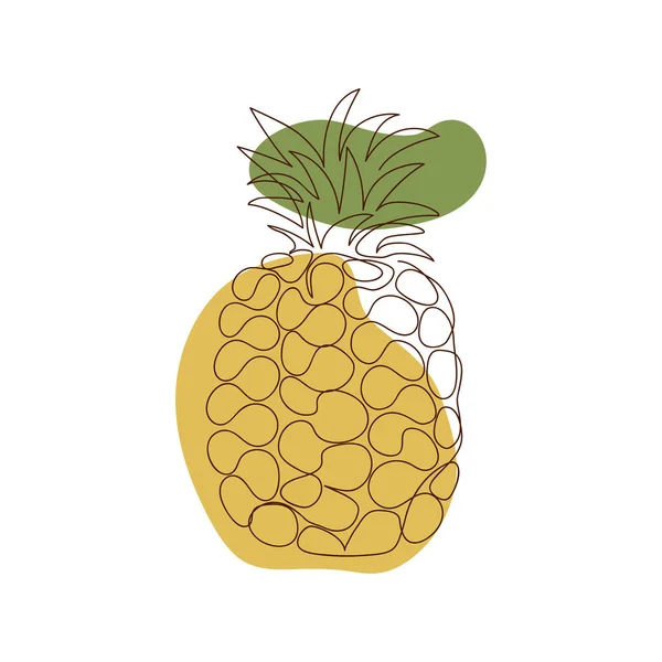 Ananas Intero Con Foglie Disegnate Contorno Uno Sfondo Due Macchie — Vettoriale Stock