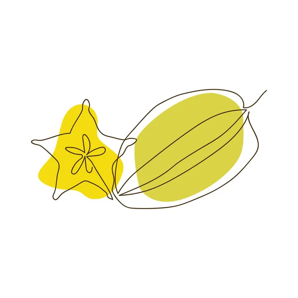Hand Drawn Whole Carambola Half Carambola Form Star One Solid — Image vectorielle