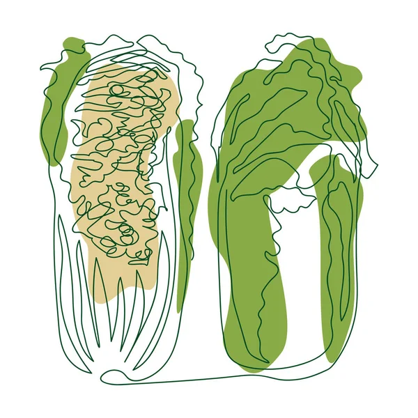 大白菜整体切割成一条坚实的线 以白色背景上的绿色和米黄色的抽象点为背景 — 图库矢量图片