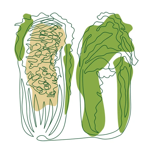 Repolho Chinês Inteiro Cortado Meio Desenhado Uma Linha Sólida Mão —  Vetores de Stock