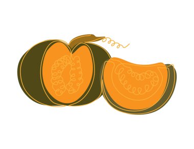 Koyu yeşil balkabağı ve turuncu balkabağı dilimi beyaz arka planda sürekli turuncu bir çizgi tarafından çizilir.