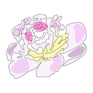 Beyaz arkaplan çizgisi üzerinde sürekli siyah bir çizgi çizilmiş pembe şakayık çiçeği.