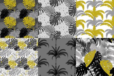 Siyah beyaz ve tek renkli tonlarda tropikal izler.