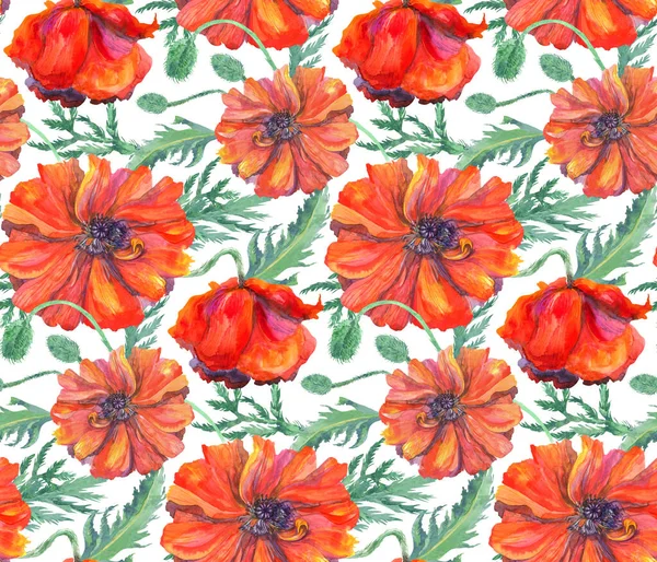 Watercolor seamless pattern with red poppies on a white background — Stock Photo, Image