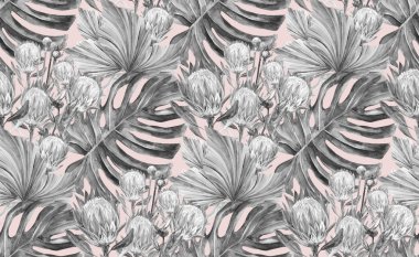 Kurumuş protea çiçekleri ve pembe arka planda canavar yaprakları olan dikişsiz siyah beyaz desenli suluboya.