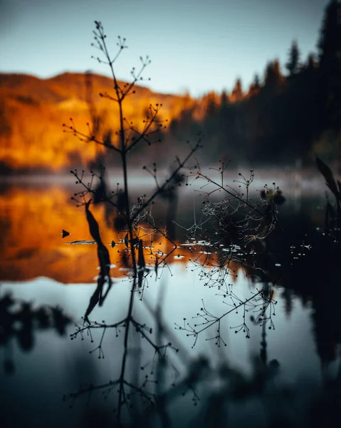 Paisagem Com Lago Floresta Outono — Fotografia de Stock