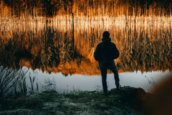 Sonbahar ormanlarında göl manzarası