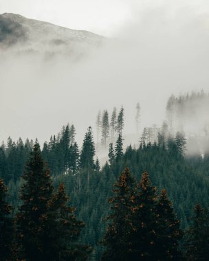 Sisli dağ manzarası